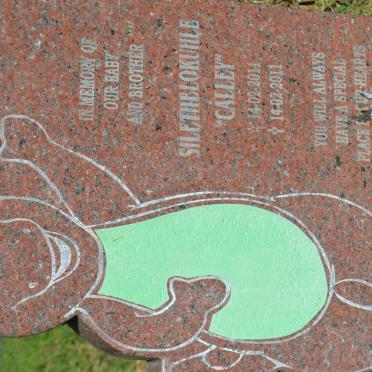 XABA Silethelokuhle 2011-2011