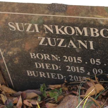 ZUZANI Suzi Nkombou 2015-2015