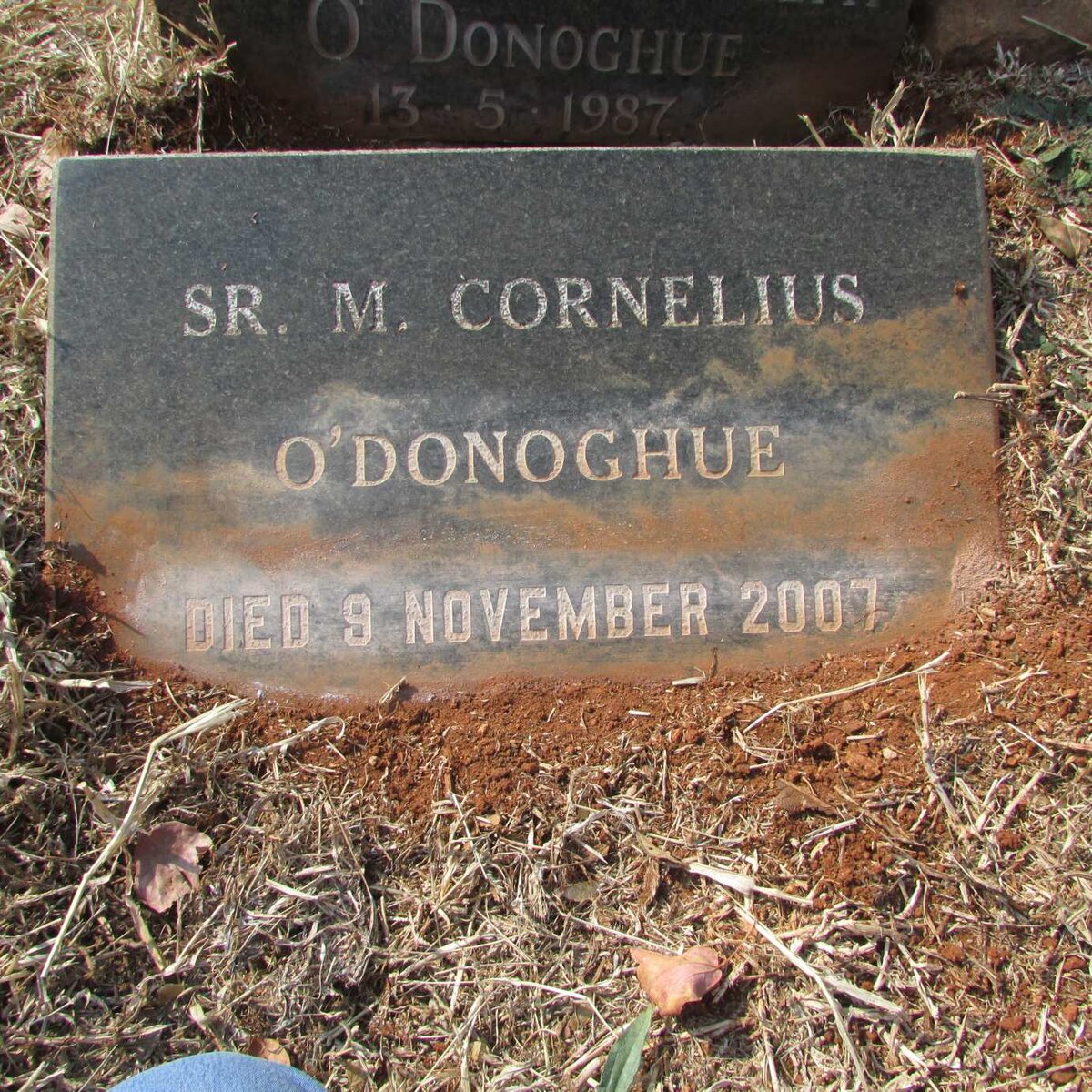 O'DONOGHUE M. Cornelius -2007