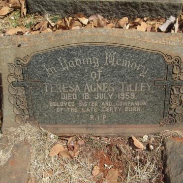 TILLEY Teresa Agnes -1959