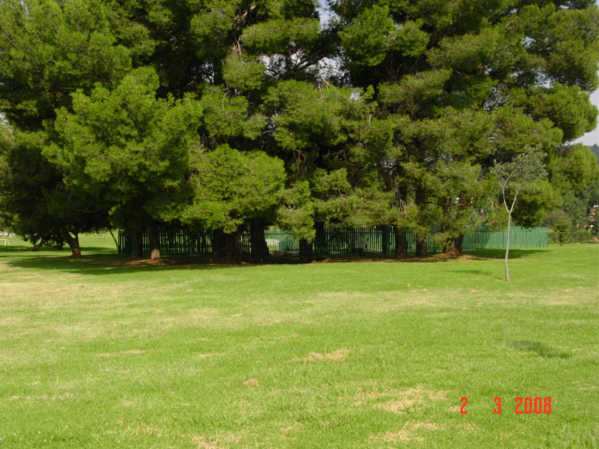 4. Oorsig / Overview