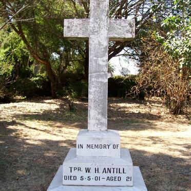 ANTILL W.H. -1901