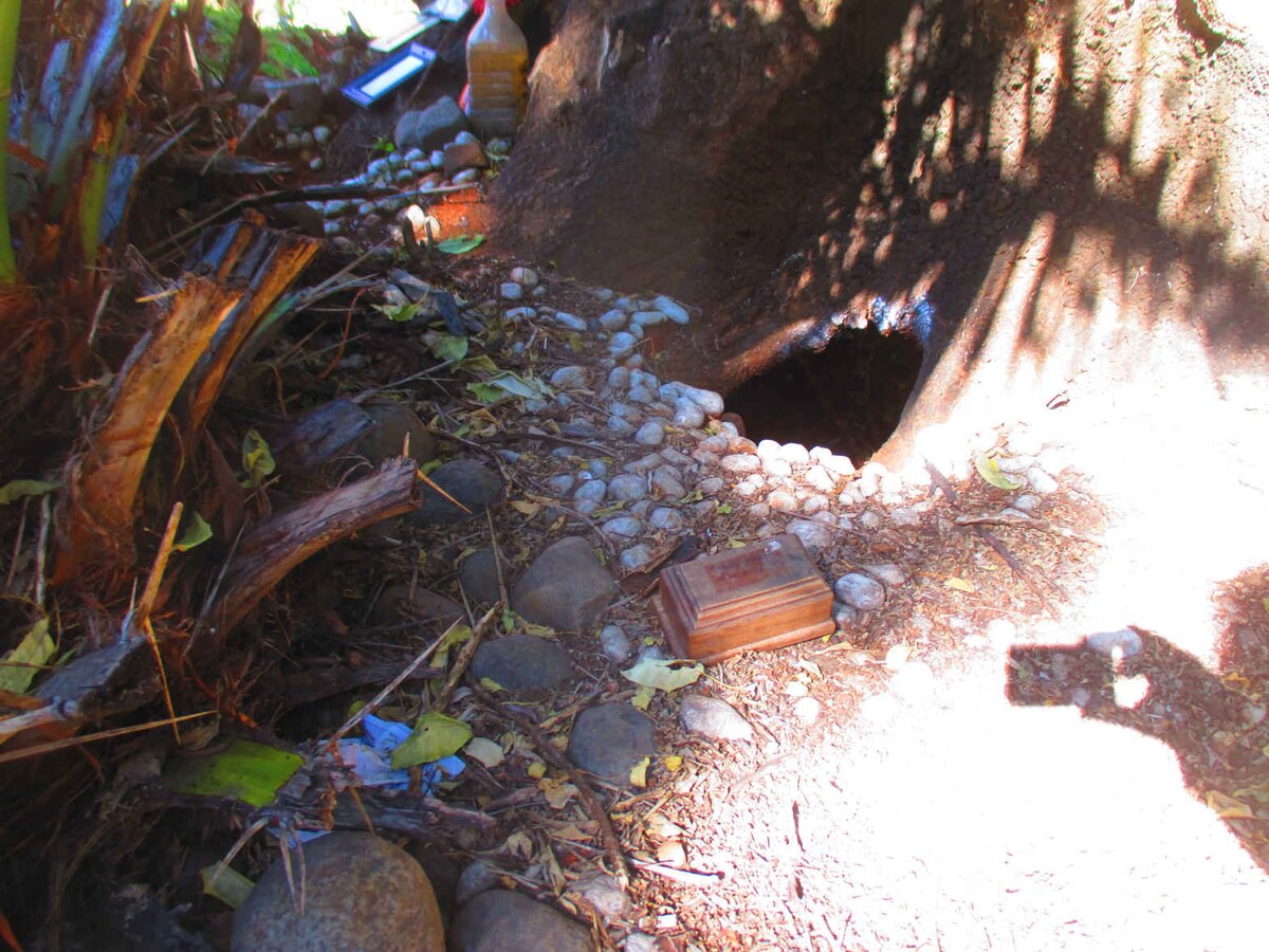 3. Overview / Oorsig