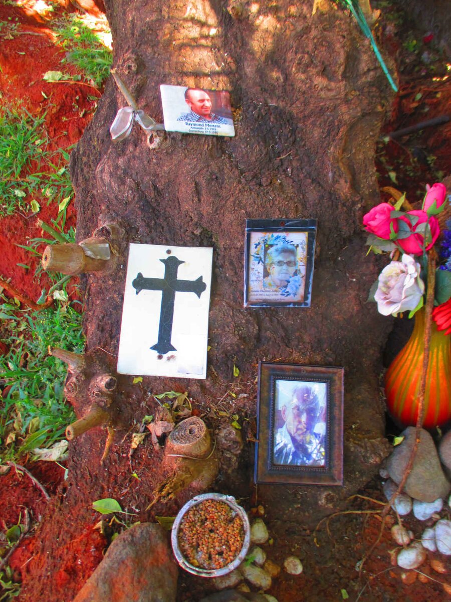 5. Overview / Oorsig