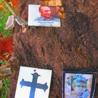 MERTENS Raymond 1926-1980