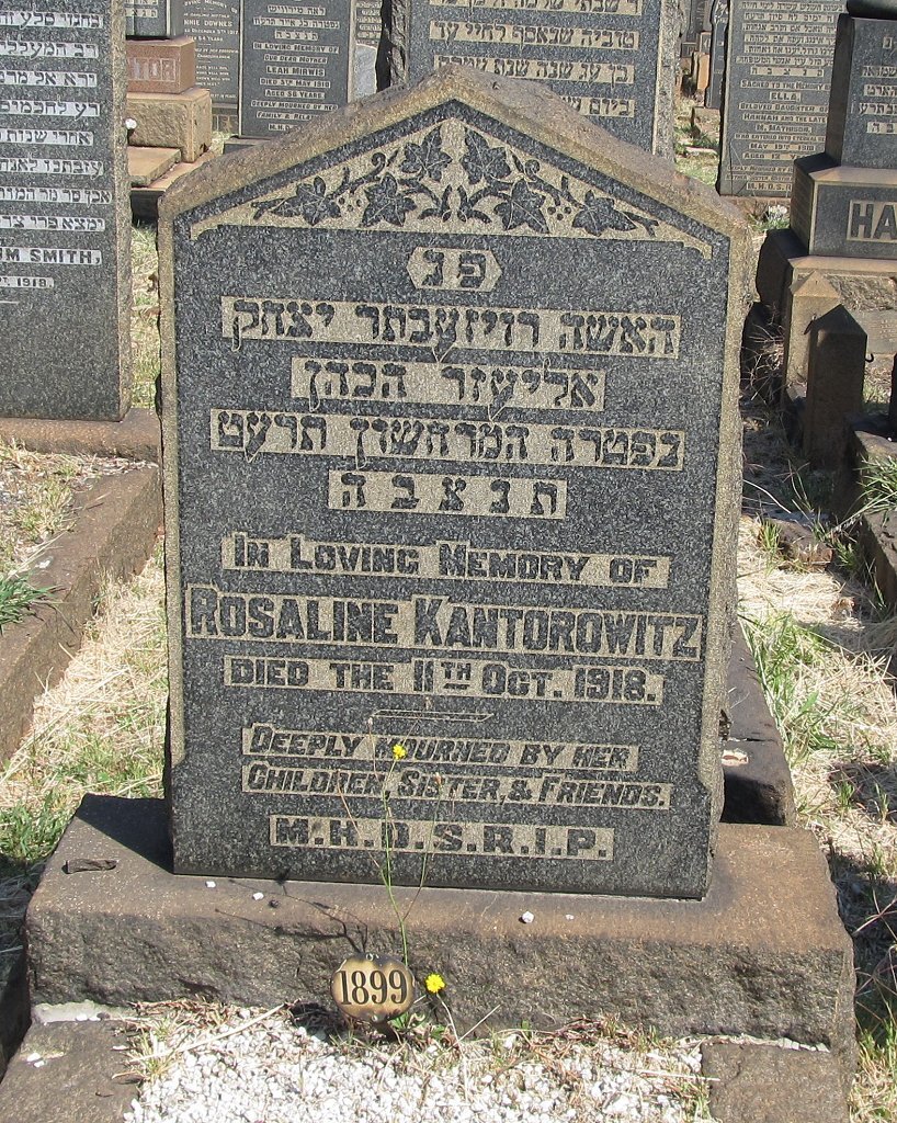 KANTOROWITZ Rosaline -1918
