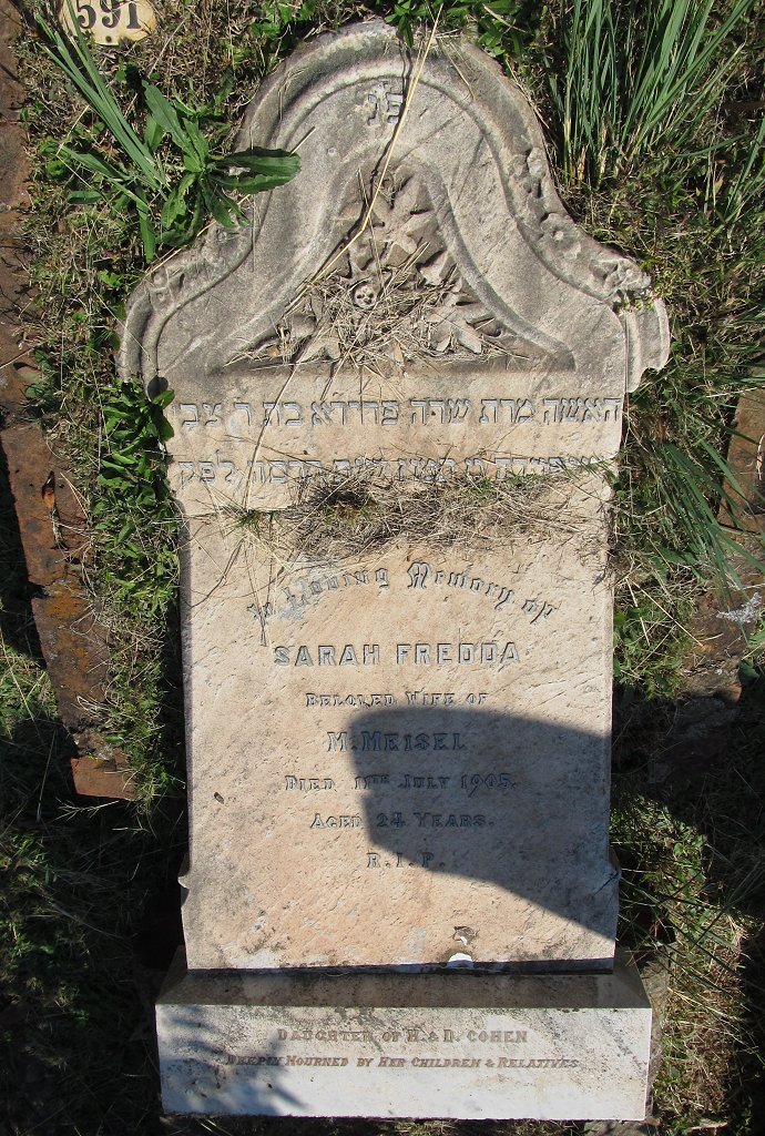 MEISEL Sarah Fredda -1905