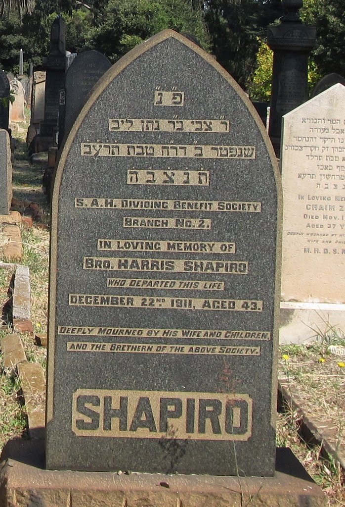 SHAPIRO Harris -1911