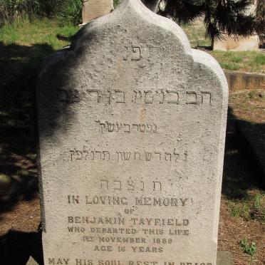 T - Vanne :: Surnames - T