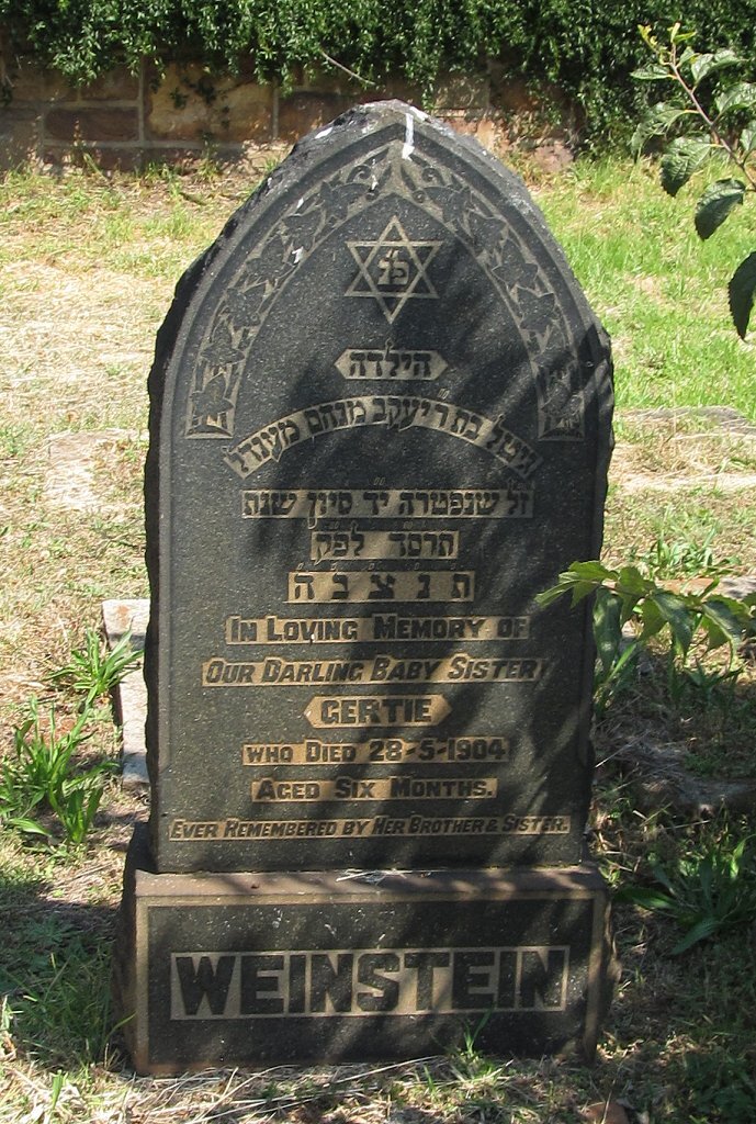 WEINSTEIN Gertie -1904