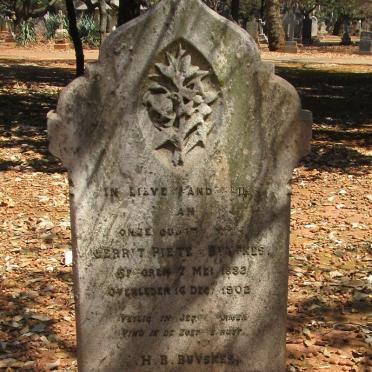 BUYSKES Helena Josina nee BRINK 185?-1920 :: BUYSKES Gerrit Pieter 1882-1910