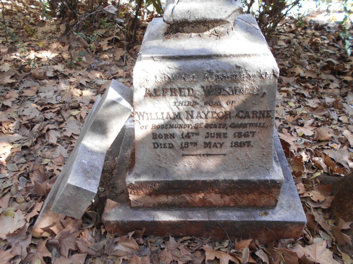 CARNE Alfred Wilmot 1867-1897