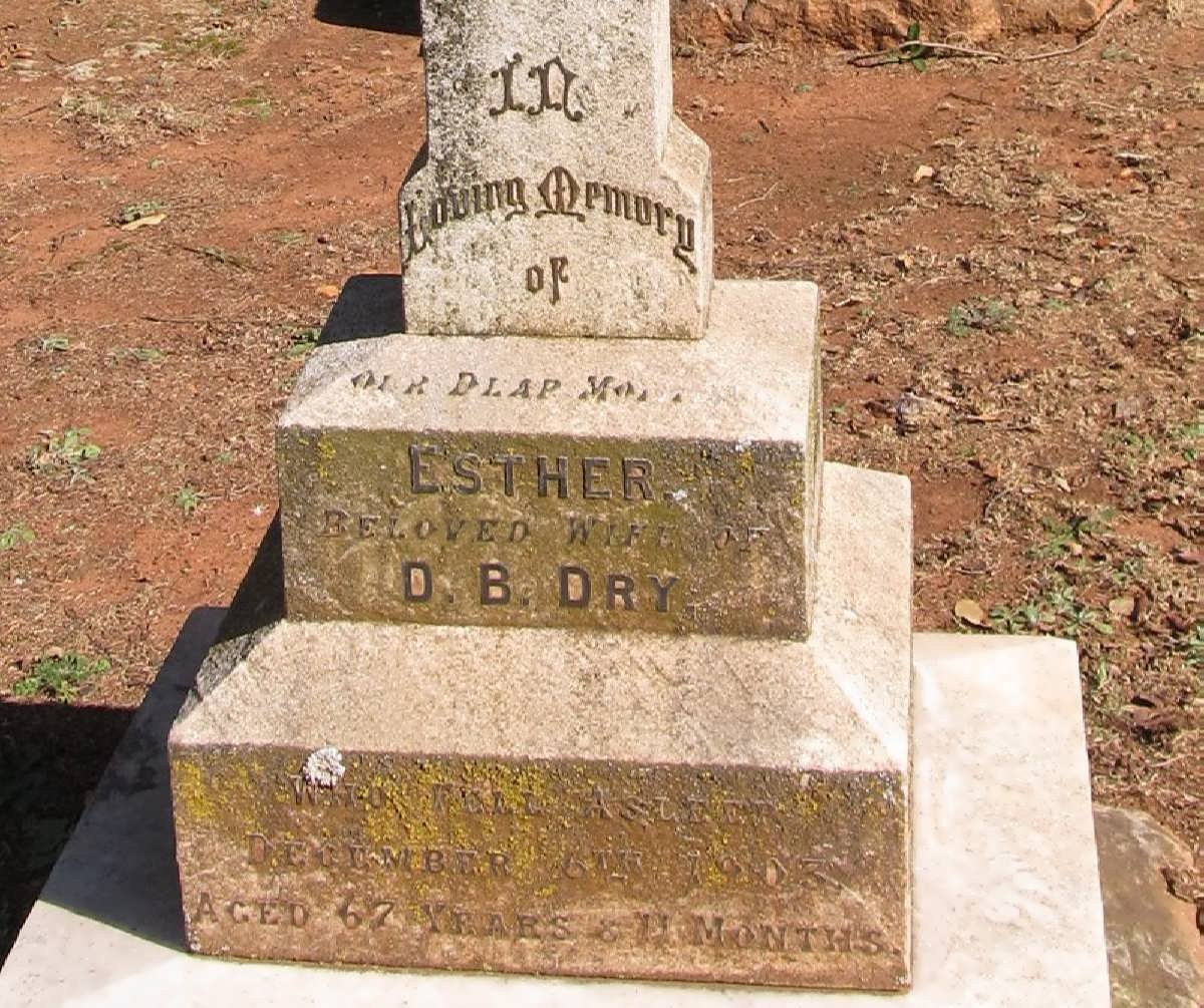 DRY Esther -1903