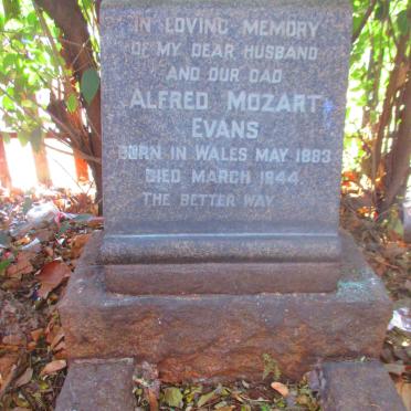 E - Surnames :: Vanne - E