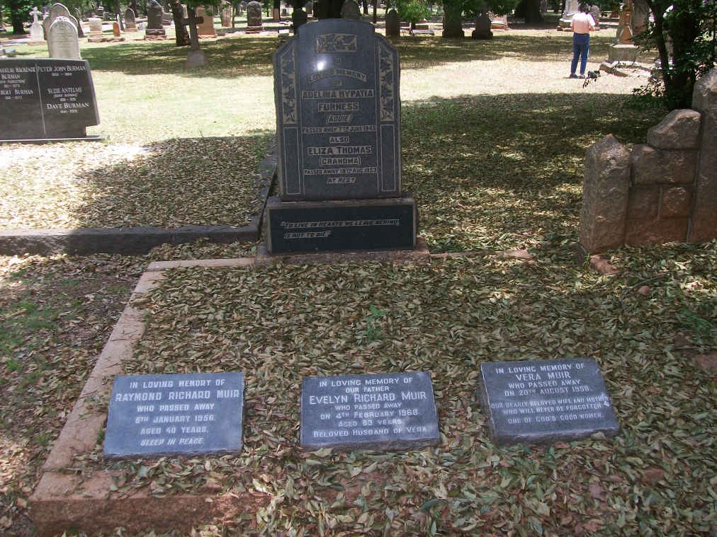 FURNESS :: THOMAS :: MUIR