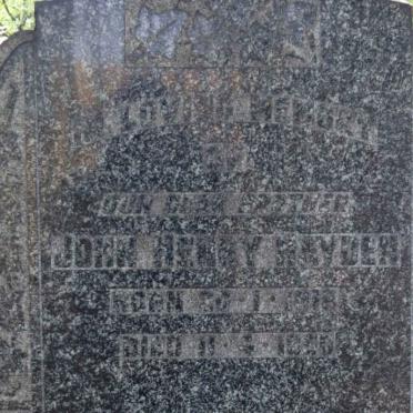 HAYDEN John Henry -1950