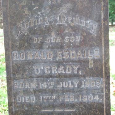 O'GRADY Ronald Esdaile 1903-1904