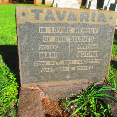 TAVARIA Bucho :: TAVARIA Mani