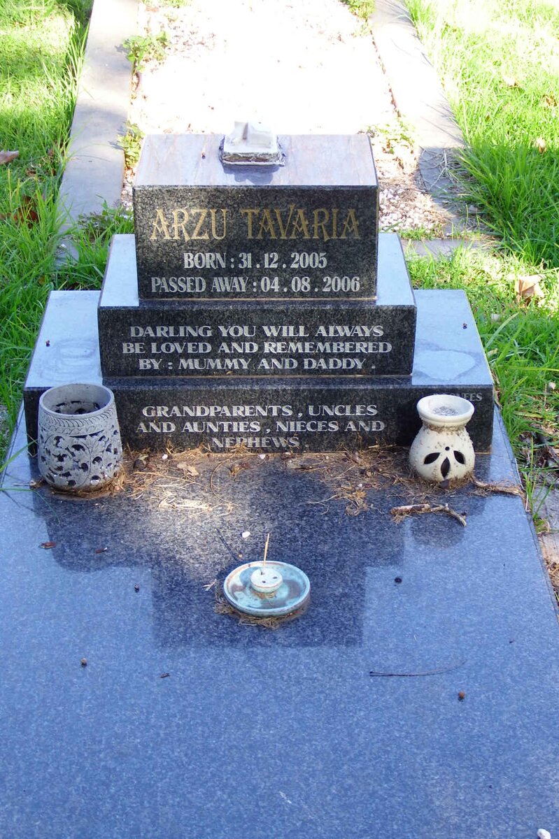 TAVARIA Arzu 2005-2006