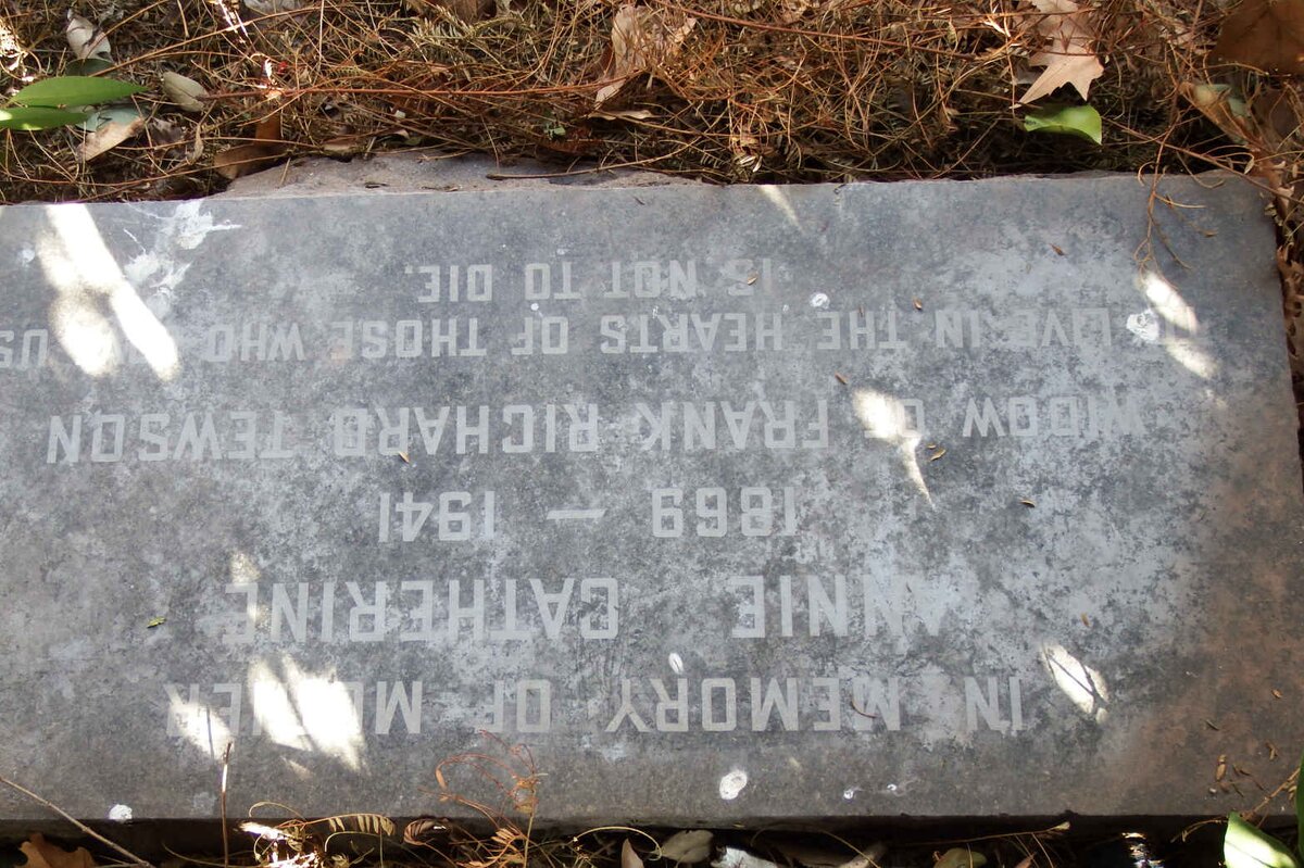 TEWSON Annie Catherine 1869-1941