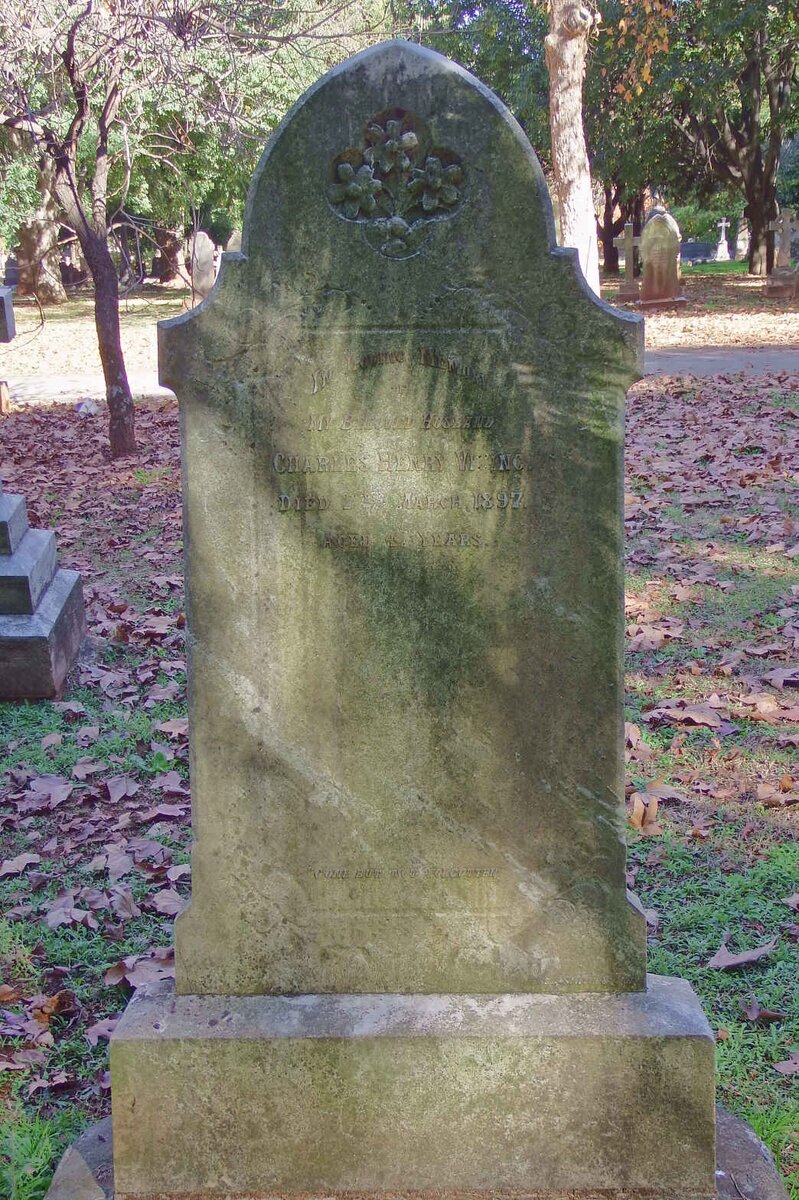 VINING Charles Henry -1897