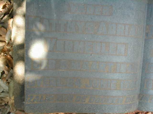 VERMEULEN Matthys Adriaan 1841-1906