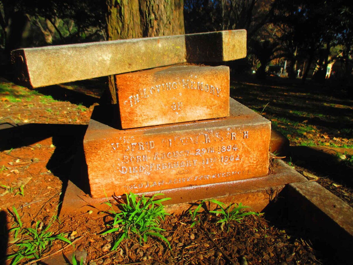 W? Wilfred Hilton 1894-1902