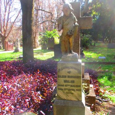 WALSH Eileen Margaret 1919-1921