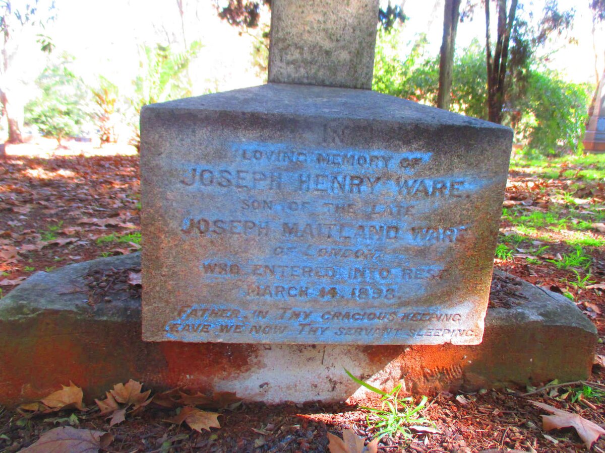 WARE Joseph Henry -1893