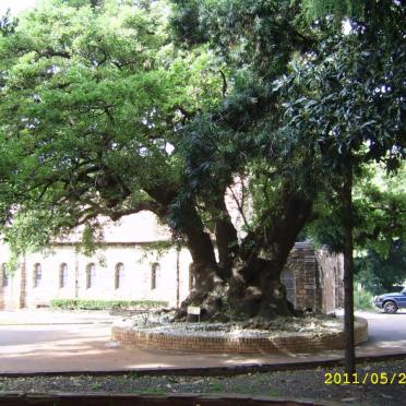 1. Overview photographs