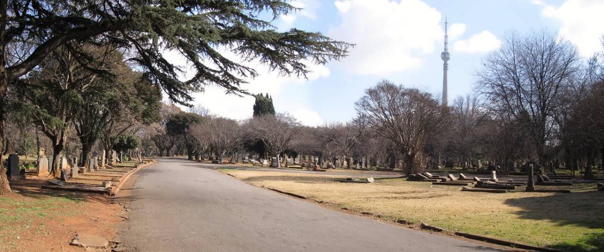 04. Overview / Oorsig