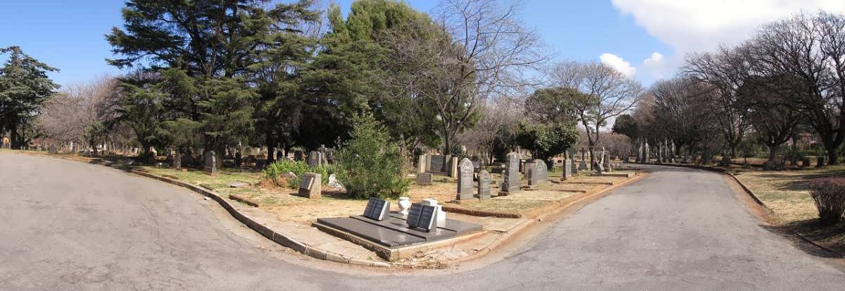 03. Overview / Oorsig