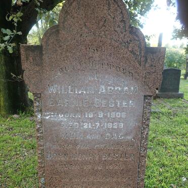 BESTER William Abram Barnie 1906-1929 :: BESTER John Henry 1928-1931