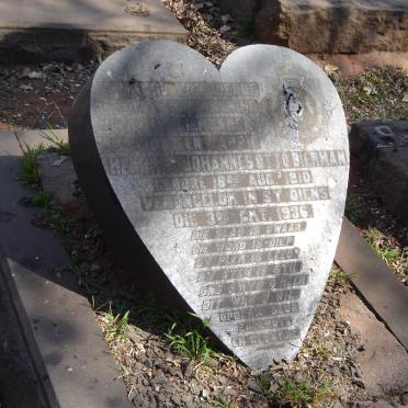 BIERMAN H. Johannes Otto 1910-1936