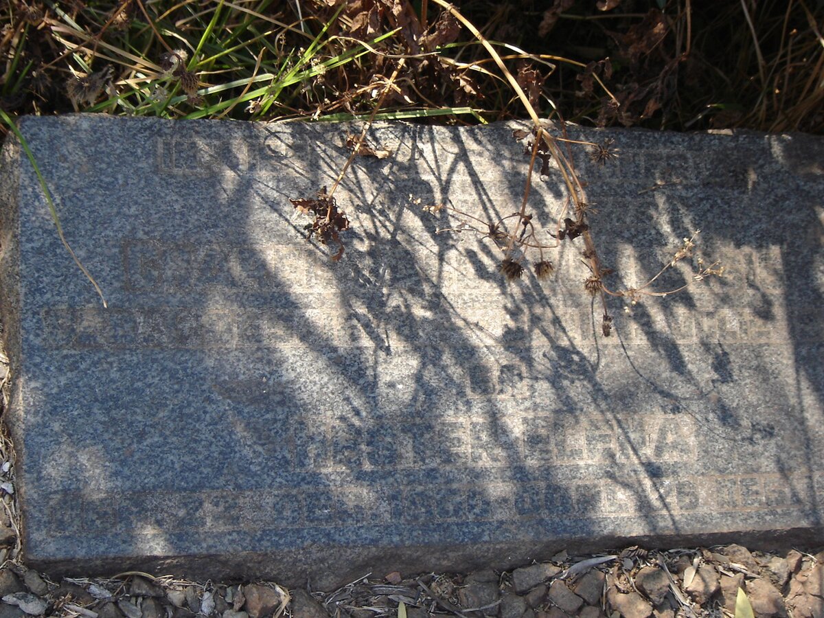 ? Sarel &amp; Hester Elena