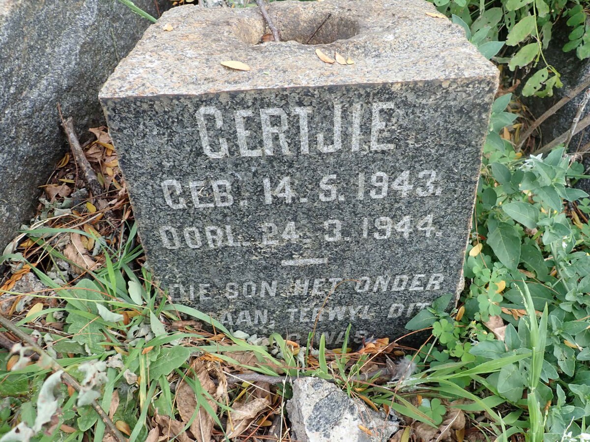 DOUBELL Annie Catherine Ellizabeth nee PETTET 1872-1921 :: DOUBELL Robert William Pettet 1915-1953 :: DOUBELL Gertjie 1943-1944