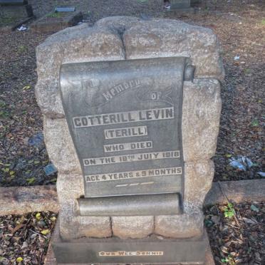 LEVIN Cotterill -1918