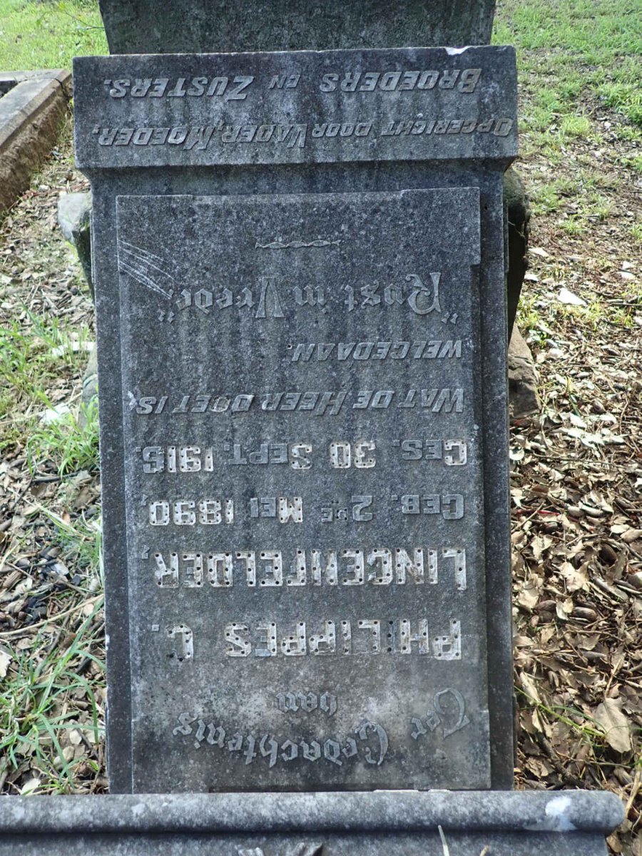 LINGENFELDER Philippes C. 1890-1916