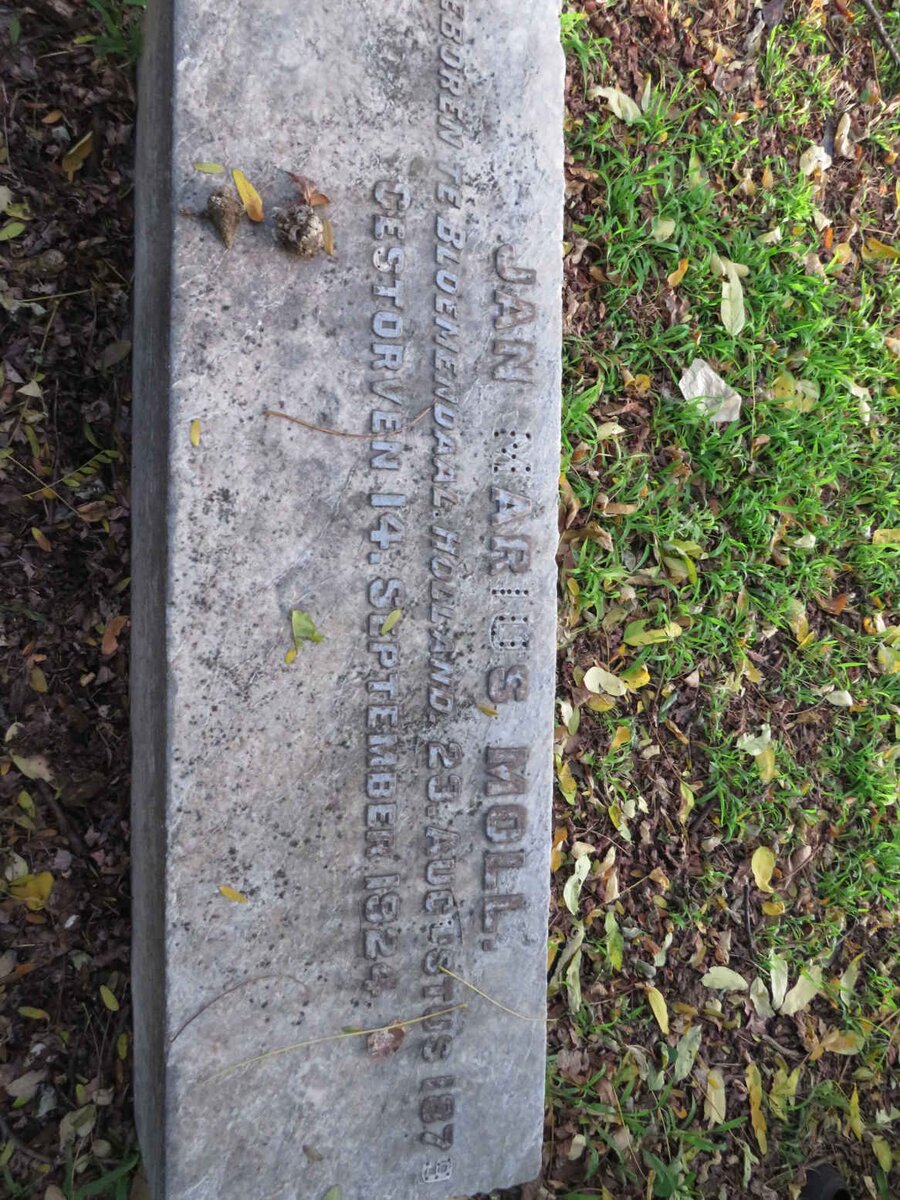 MOLL Jan Marius 1879-1924