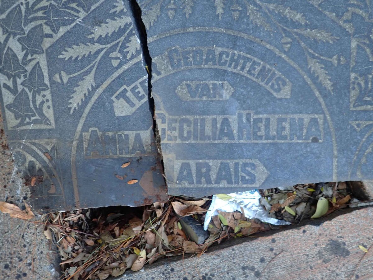 MARAIS Anna Cecilia Helena