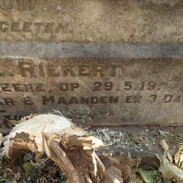 RIEKERT Johannes H.L. -1919