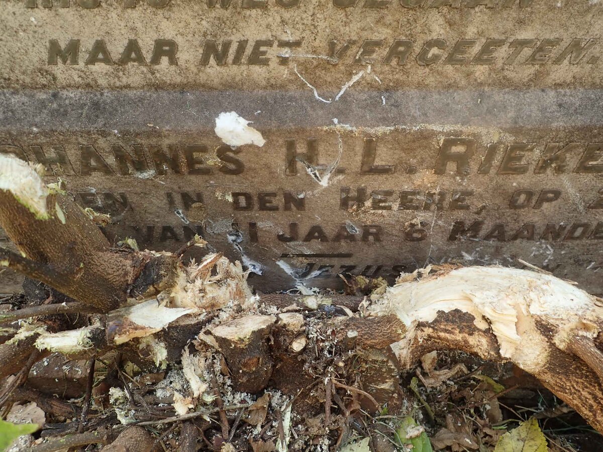 RIEKERT Johannes H.L. -1919