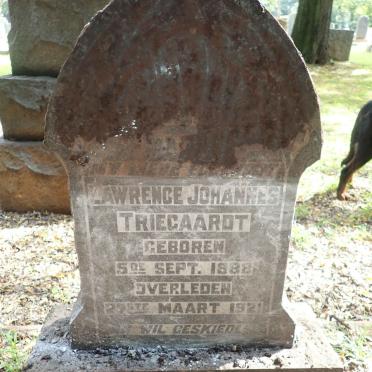 TRIEGAARDT Lawrence Johannes 1888-1921