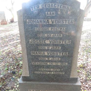 VORSTER Johanna nee POSTMA :: VORSTER Jossie :: VORSTER Maria -1919