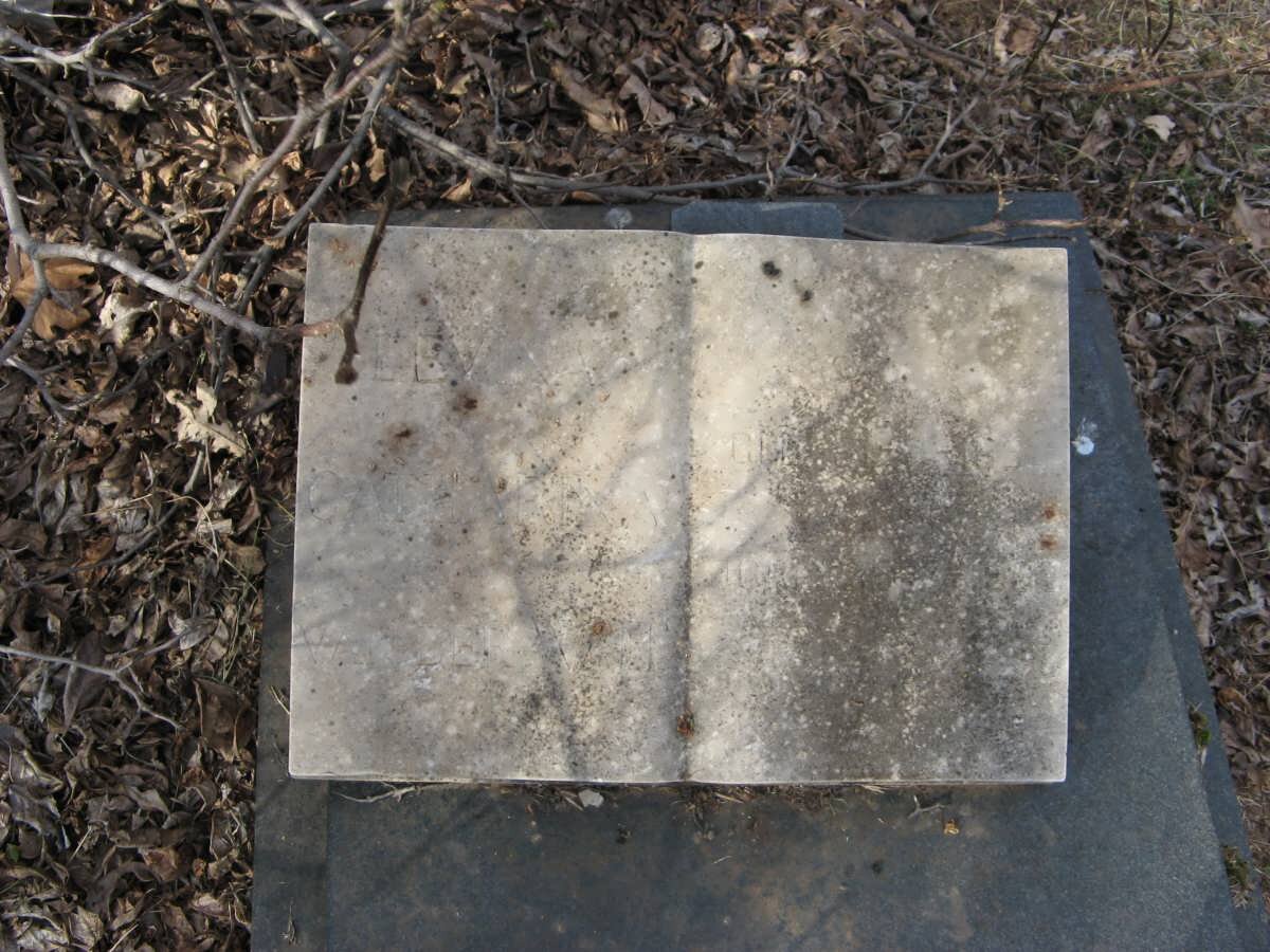 WALT Levina Catharina, van der