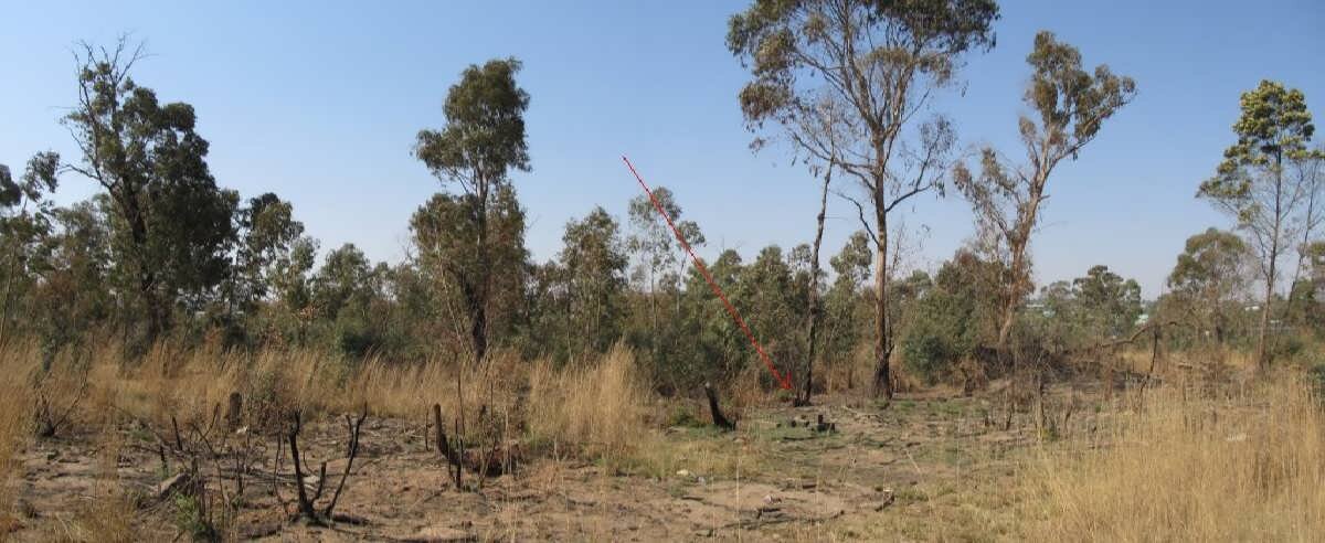 2. Overview / Oorsig