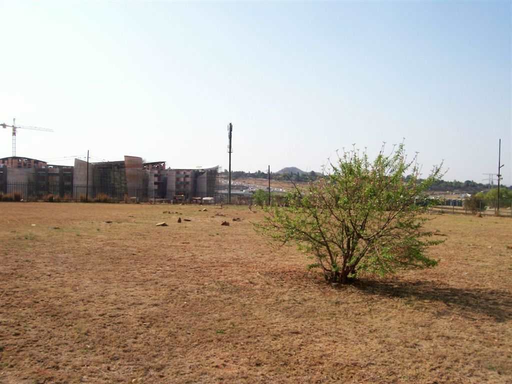 1. Overview of the Fairlands Cemetery