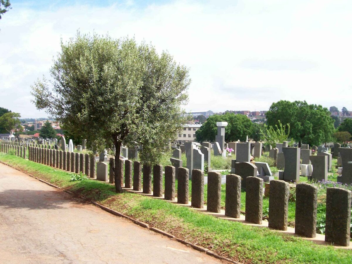 2. Overview / Oorsig