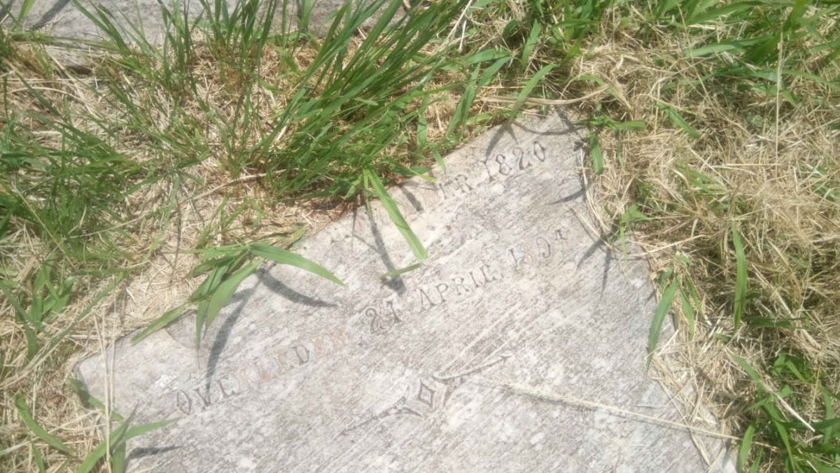 ALBERTS Alida Susanna nee JOUBERT 1820-1894