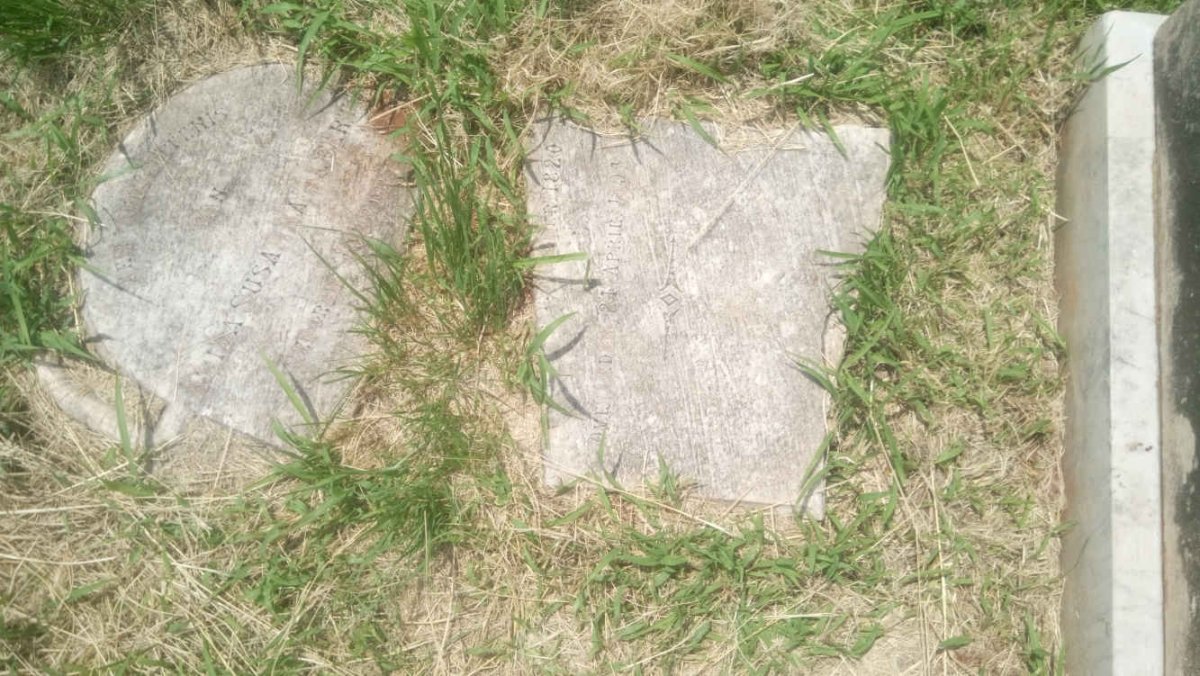 ALBERTS Alida Susanna nee JOUBERT 1820-1894